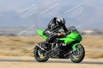 media/Jan-14-2024-SoCal Trackdays (Sun) [[2e55ec21a6]]/Back Straight Speed Pans (1145am)/